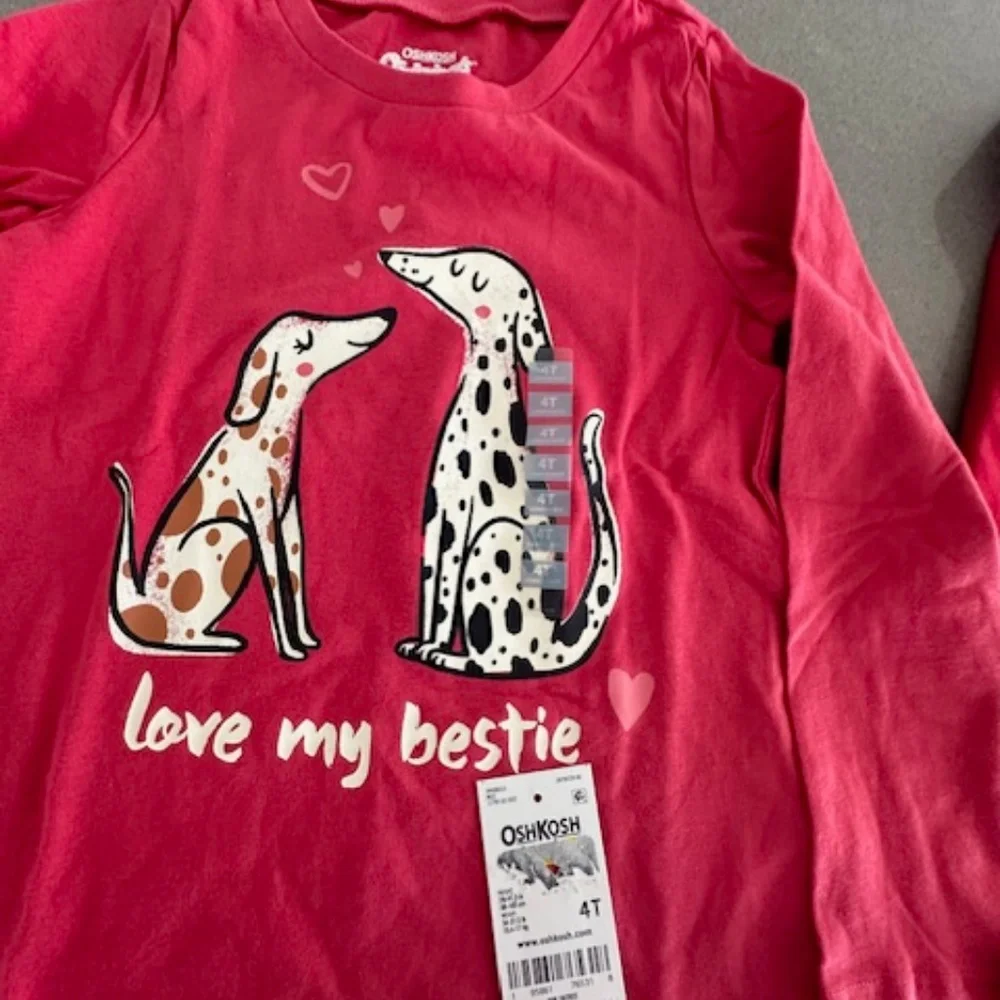 Bundle 4T Set of 2 Heart/Red Long Sleeve T-Shirts